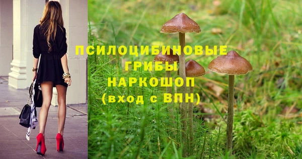 герыч Абинск