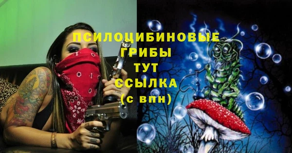 каннабис Алзамай