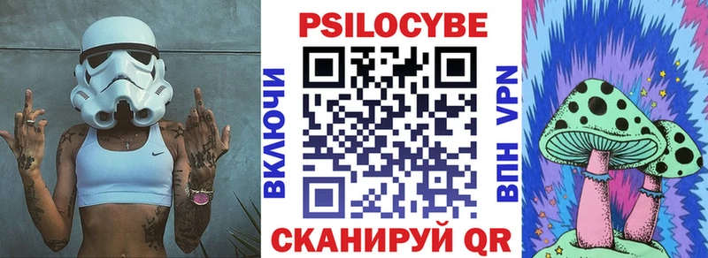 закладка  Красновишерск  Псилоцибиновые грибы Cubensis 
